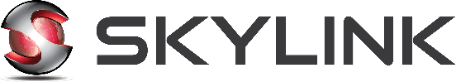 headlogo